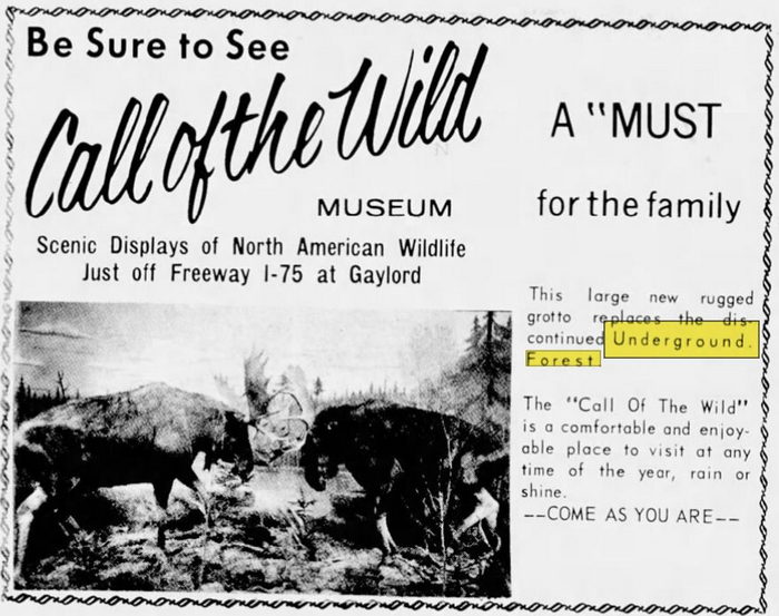 Underground Forest - 1965 Closing